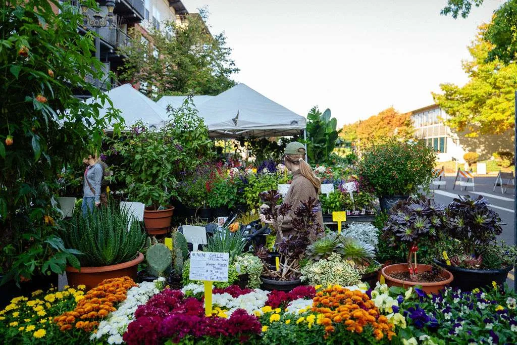 Vancouver Farmers Market photo 3